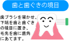 正しい歯磨き 予防歯科 伊東市 熱海市 宇佐美 うさみ 歯医者 歯ブラシ