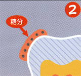 虫歯予防 伊東市 熱海市 宇佐美 うさみ 歯医者 小児歯科